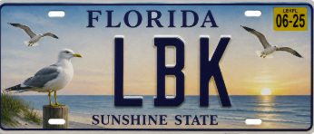 Florida license plate LBK